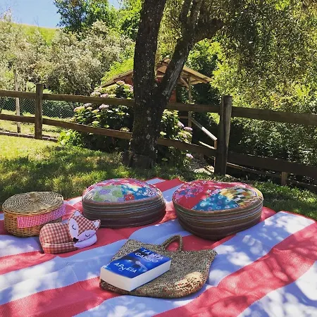 Casa Do Ourico * Figueiro Dos Vinhos