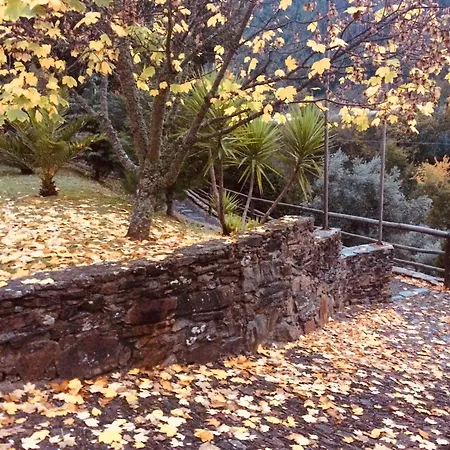 Casa Do Ouriço Figueiro Dos Vinhos