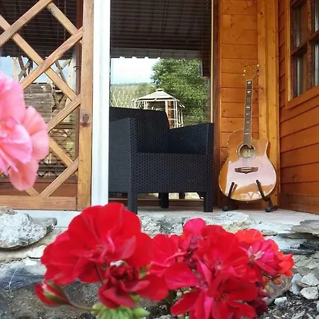 Alojamento de Turismo Rural Casa Do Ouriço Figueiro Dos Vinhos
