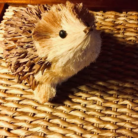 Agroturismo Casa Do Ourico