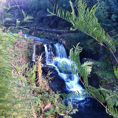 Casa Do Ourico Agroturismo *