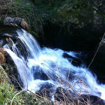 Agroturismo Casa Do Ourico Figueiro Dos Vinhos