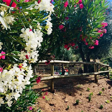 Agroturismo Casa Do Ourico