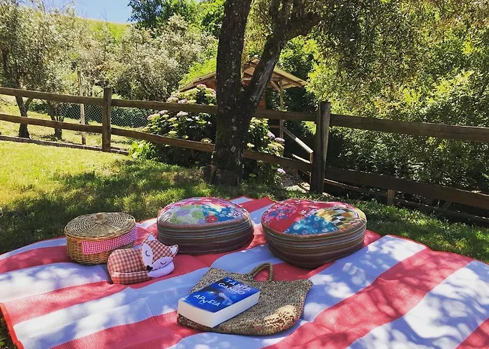 Casa Do Ourico * Figueiro Dos Vinhos