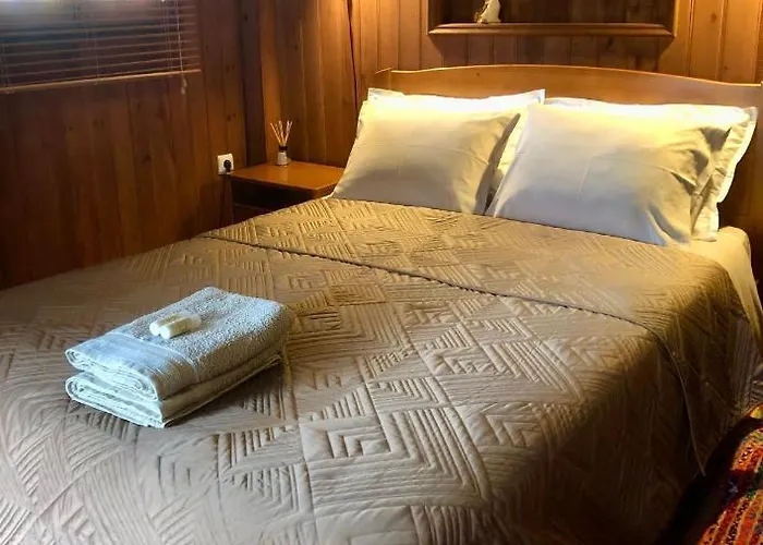 Casa Do Ourico * Figueiro Dos Vinhos