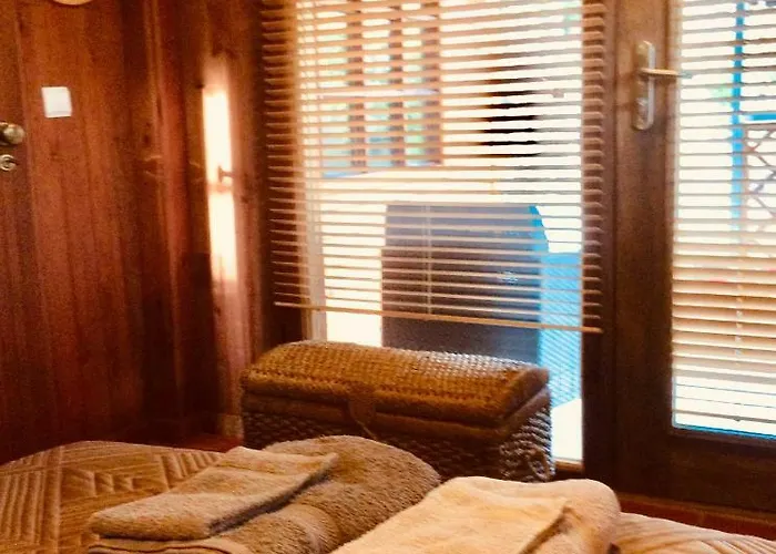 Casa Do Ourico Figueiro Dos Vinhos