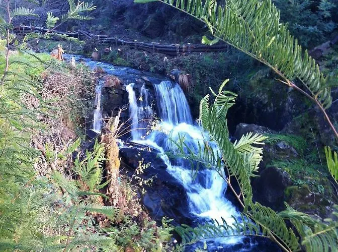 Casa Do Ourico Feriegård *