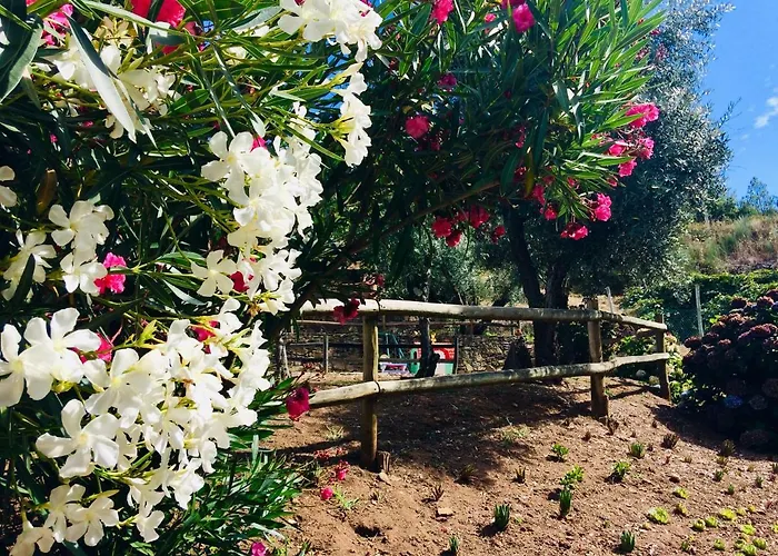 Feriegård Casa Do Ourico